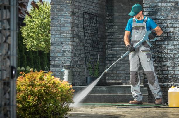 Best Roof Cleaning and Mildew Removal in Vandenberg Af, CA